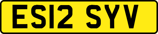 ES12SYV