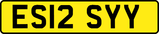 ES12SYY