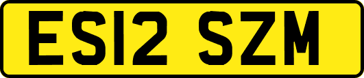 ES12SZM