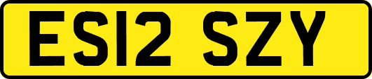 ES12SZY