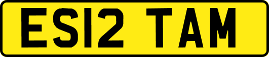 ES12TAM