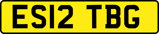 ES12TBG