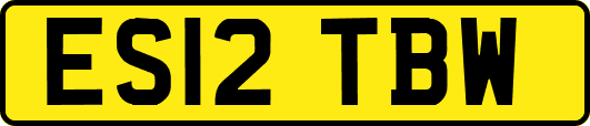ES12TBW