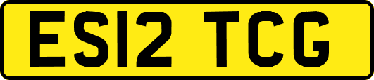 ES12TCG