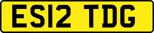 ES12TDG
