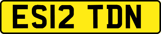 ES12TDN