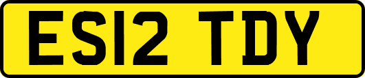 ES12TDY