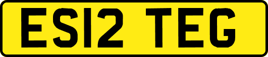 ES12TEG