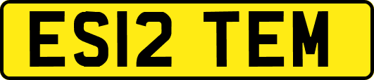 ES12TEM