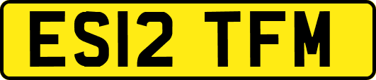 ES12TFM