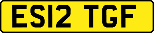 ES12TGF
