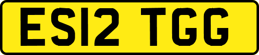 ES12TGG