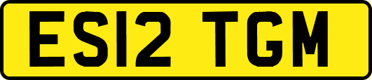ES12TGM