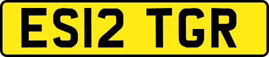 ES12TGR
