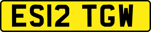 ES12TGW