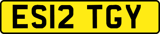 ES12TGY