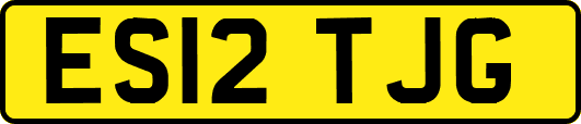 ES12TJG