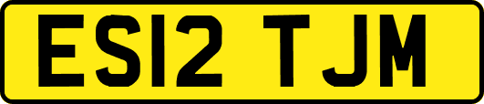 ES12TJM