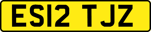 ES12TJZ
