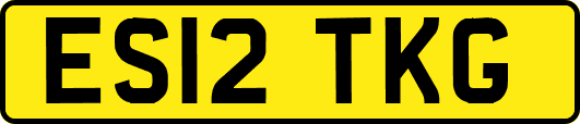 ES12TKG