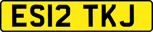 ES12TKJ