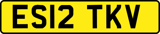 ES12TKV