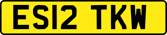 ES12TKW