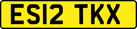 ES12TKX