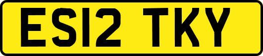 ES12TKY