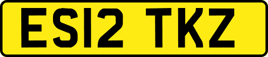 ES12TKZ