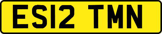 ES12TMN