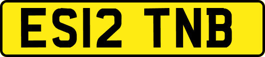 ES12TNB