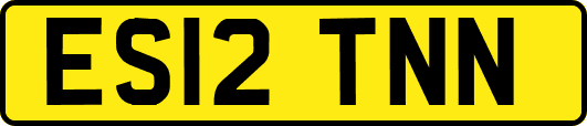 ES12TNN
