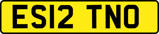 ES12TNO