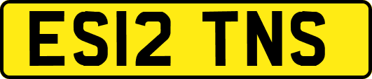 ES12TNS