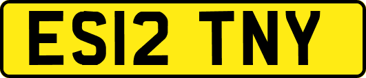ES12TNY
