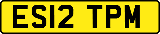 ES12TPM