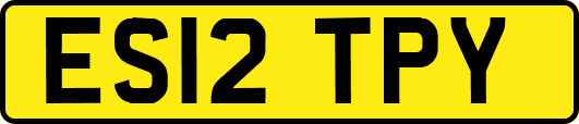 ES12TPY