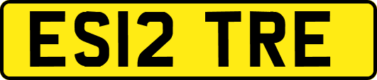 ES12TRE