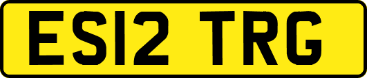 ES12TRG