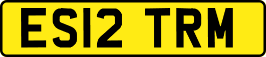 ES12TRM