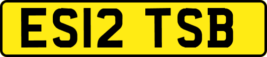 ES12TSB