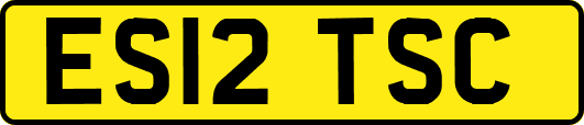 ES12TSC