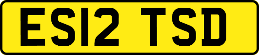 ES12TSD
