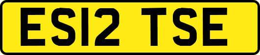 ES12TSE