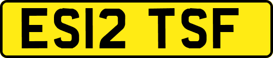 ES12TSF