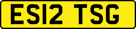 ES12TSG