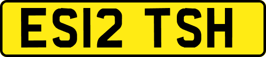 ES12TSH