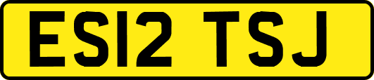 ES12TSJ