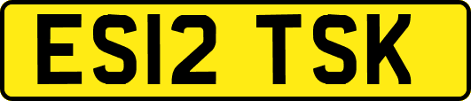 ES12TSK